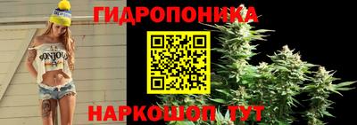 a pvp Партизанск