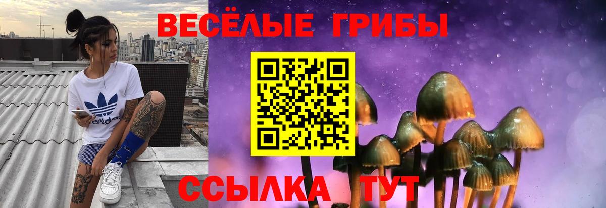 Псилоцибиновые грибы Magic Shrooms  Вход с VPN  Псилоцибиновые грибы Psilocybine cubensis  Свободный 
